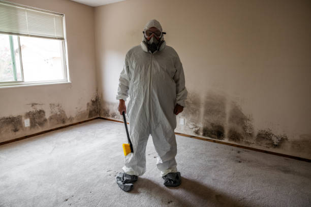 Mold Testing and Removal in Pleasant Gap, PA